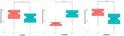 Genome-Wide Association Mapping Reveals Novel Putative Gene Candidates Governing Reproductive Stage Heat Stress Tolerance in Rice